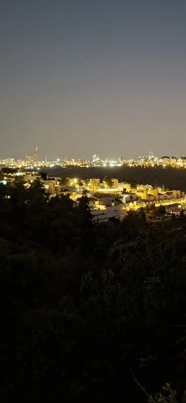 A night view from a hillside above a lit city